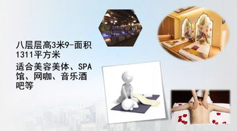 缔造卓越 以国际标准打造物业文化经纪服务体系